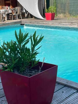 Apartment Les De Vaness' Le Mahe